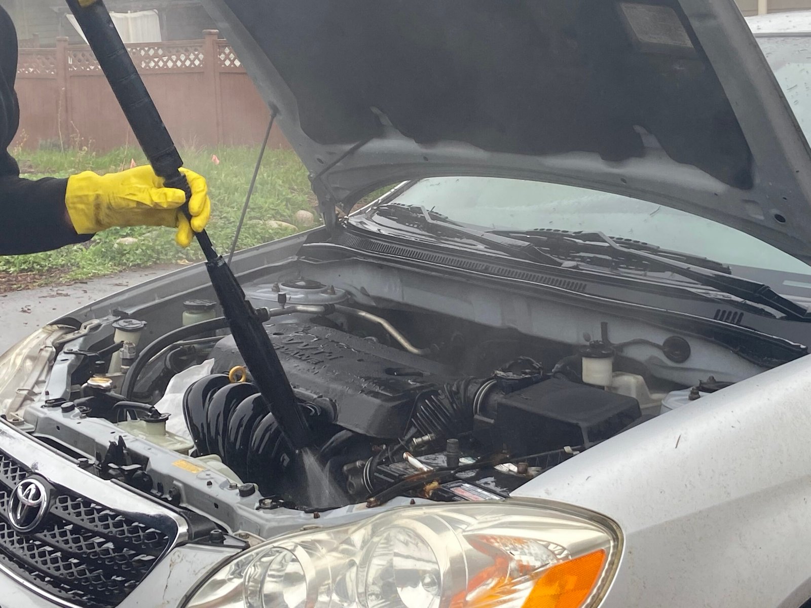engine cleaning, car detailing, exterior, vancouver-car-detailing-service