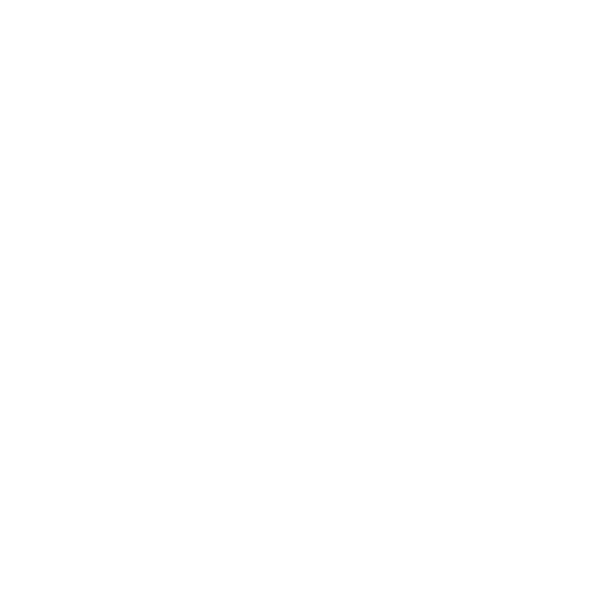 Exterior Detailing, auto detailing, car wash