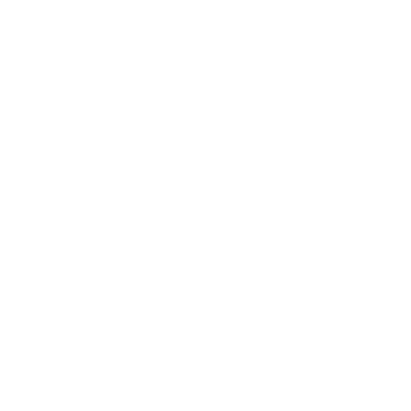 Interior Detailing, auto detailing